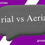 Arial vs Aerial