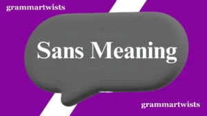 Sans Meaning