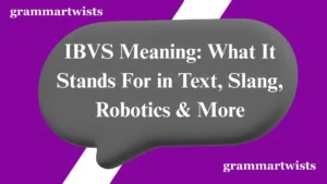 IBVS Meaning